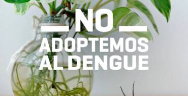 ¡NO adoptemos al Dengue!