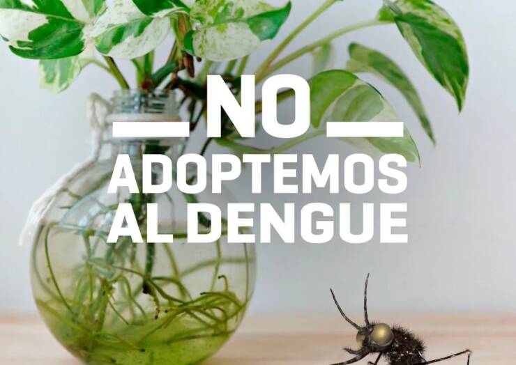 ¡NO adoptemos al Dengue!