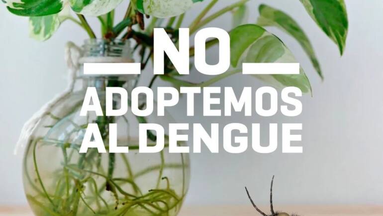 ¡NO adoptemos al Dengue!